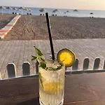 Palmiye Özdere