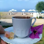 Otel Palmiye Özdere