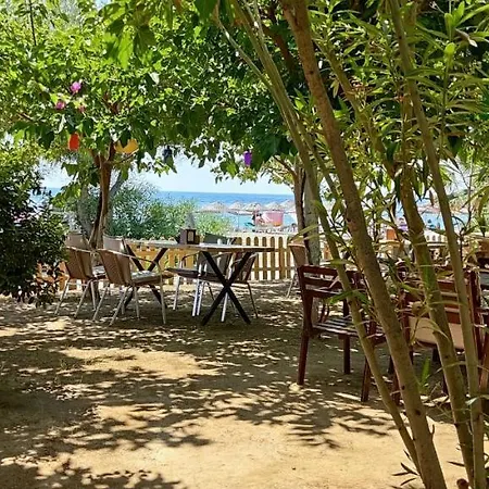 Palmiye 3* Ozdere