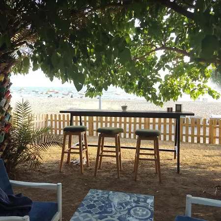 Hotell Palmiye