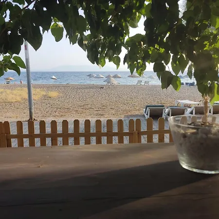 Palmiye 3* Ozdere