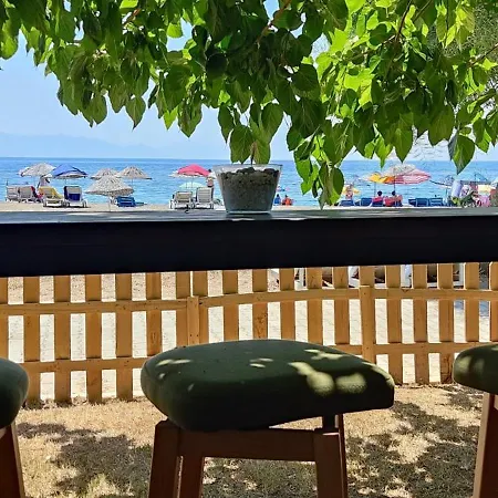Palmiye Hotell Özdere
