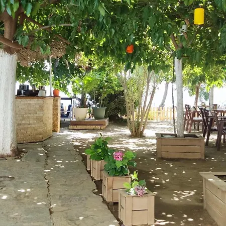 Hotel Palmiye