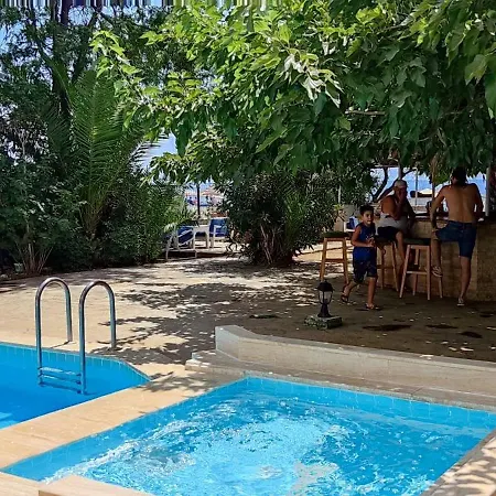 Hotell Palmiye