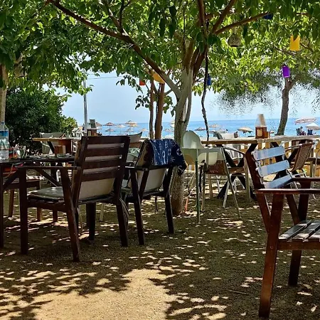 Palmiye Hotel