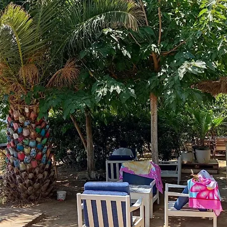 Palmiye Hotell Özdere