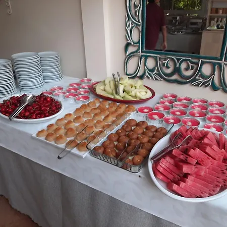 Palmiye Hotel Ozdere