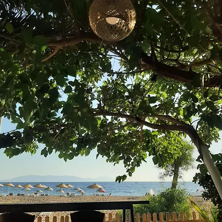 Palmiye 3*