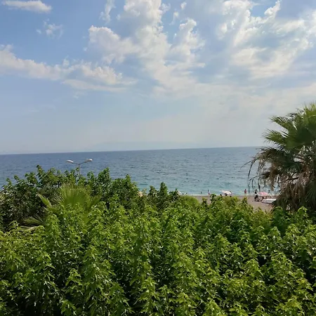 Hotel Palmiye 3*