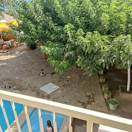 Palmiye Ozdere