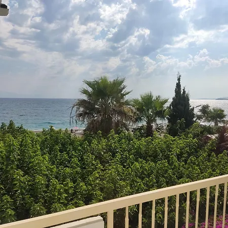 Palmiye Hotel