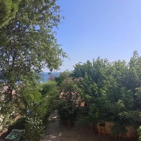 Hotel Palmiye