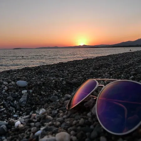 Palmiye Ozdere