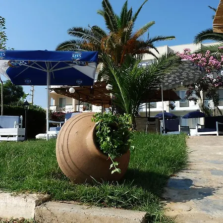 Palmiye Ozdere