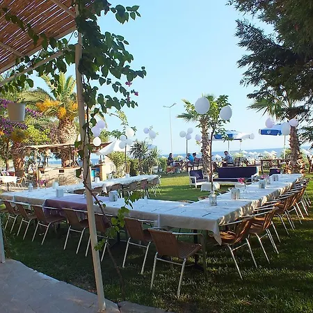 Hotell Palmiye