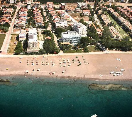 Palmiye Ozdere