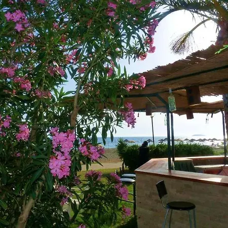 Hotell Palmiye Özdere