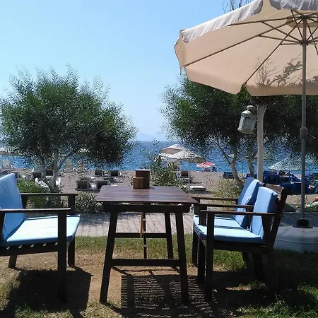 Hotel Palmiye