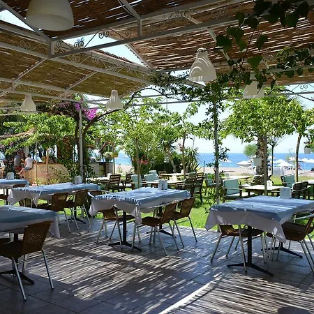 Palmiye Hotel Ozdere