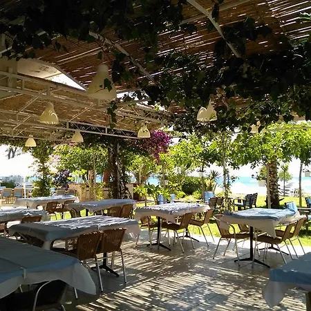 Hotell Palmiye 3*