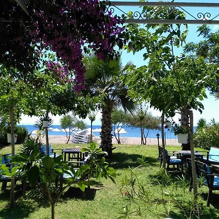 Hotel Palmiye