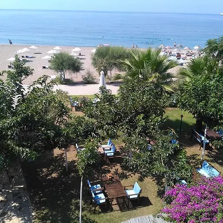 Palmiye Hotell Özdere