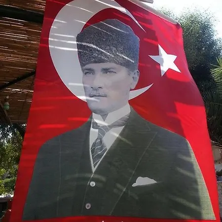 Palmiye Hotell