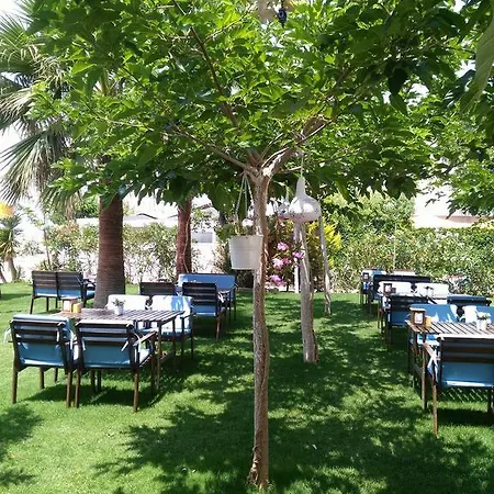 Hotel Palmiye 3*