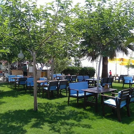 Hotell Palmiye