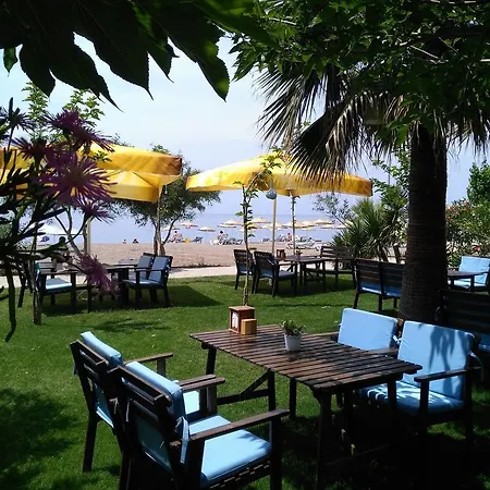 Palmiye Hotel 3*