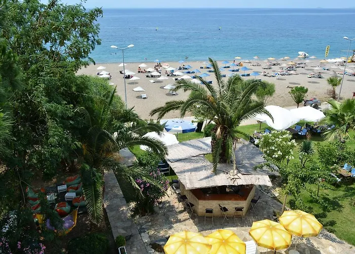 Palmiye אוזדרה