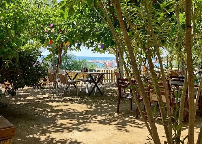 Palmiye 3* אוזדרה