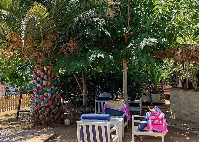 Palmiye מלון אוזדרה