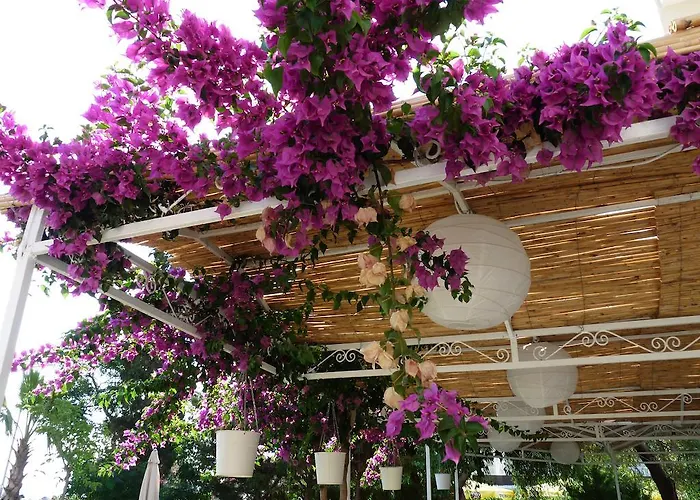 מלון Palmiye אוזדרה