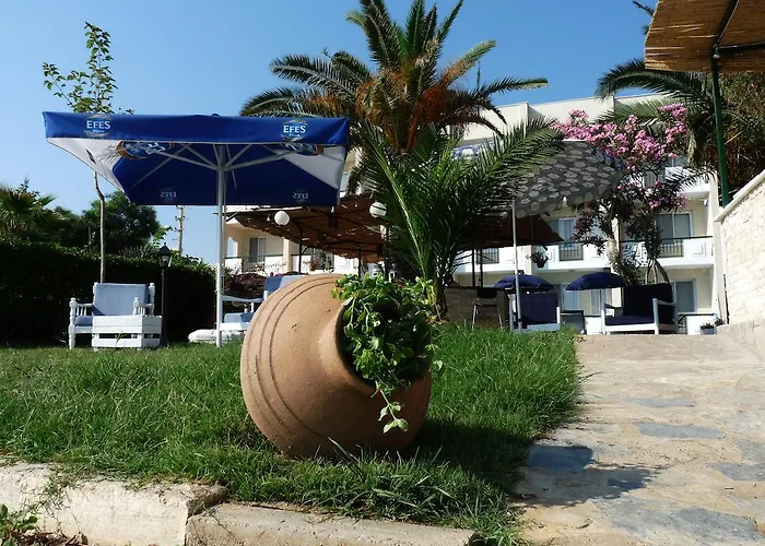 Palmiye אוזדרה