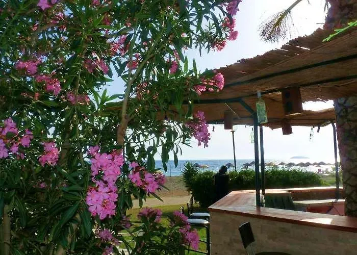 מלון Palmiye אוזדרה