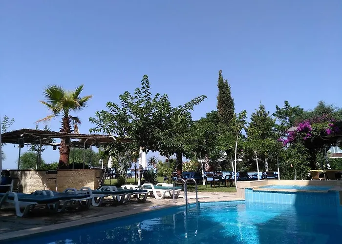 Palmiye מלון