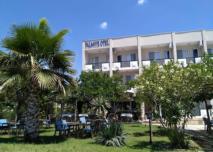 Palmiye