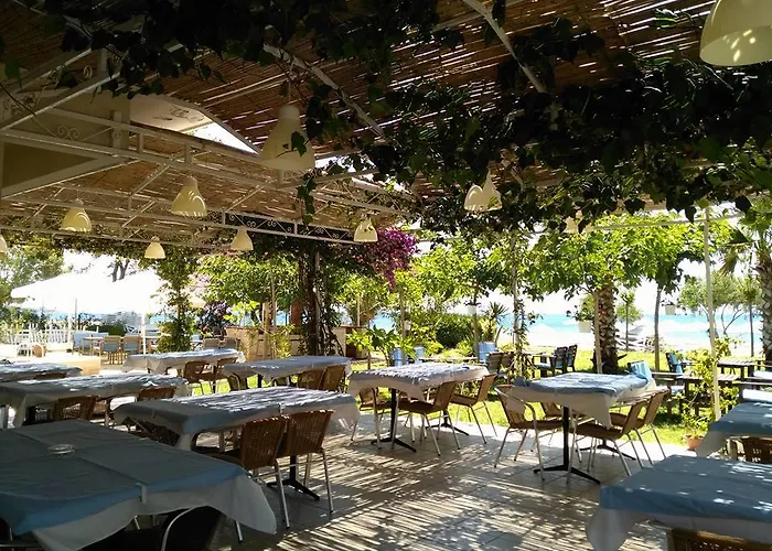 מלון Palmiye 3*