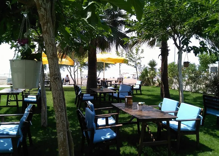 Palmiye 3* אוזדרה