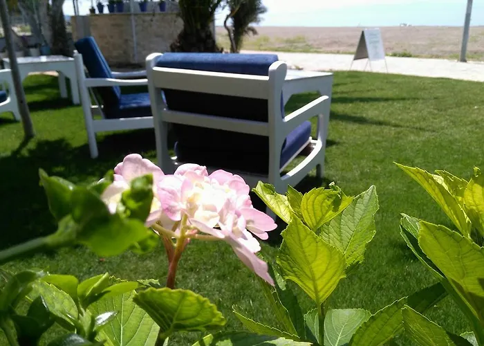 Palmiye 3* אוזדרה