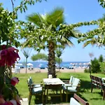 Palmiye