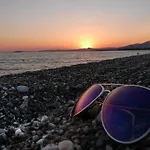 Palmiye Ozdere
