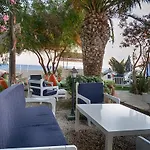 Palmiye Ozdere