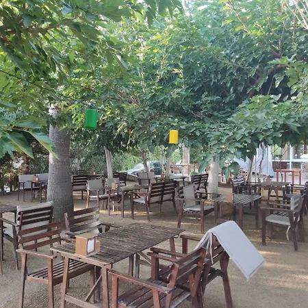 Hotel Palmiye Özdere