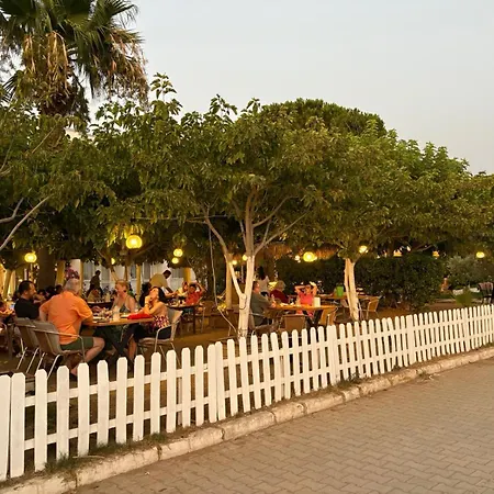 Palmiye Hotel Özdere