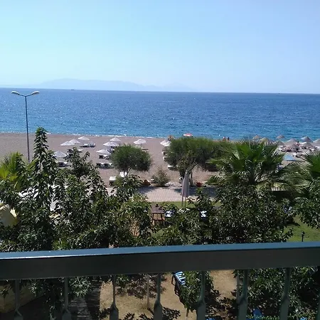 Palmiye Özdere