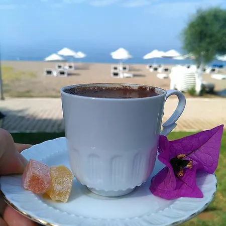 Szálloda Palmiye Özdere